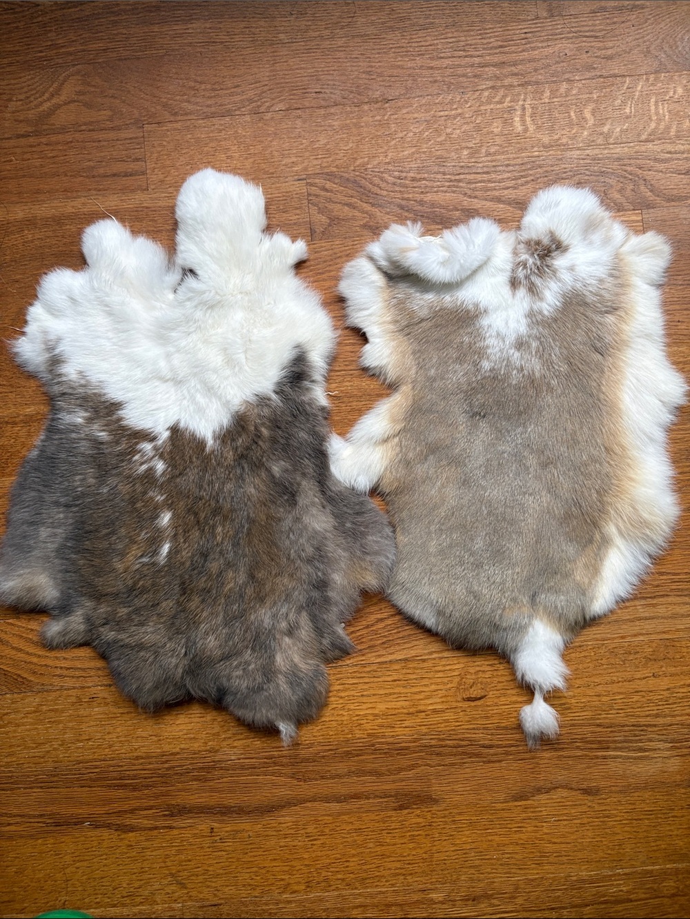 B0019 set premium natural rabbit fur pelts